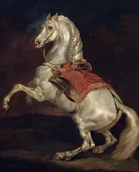 Napoleons Hengst Tamerlan